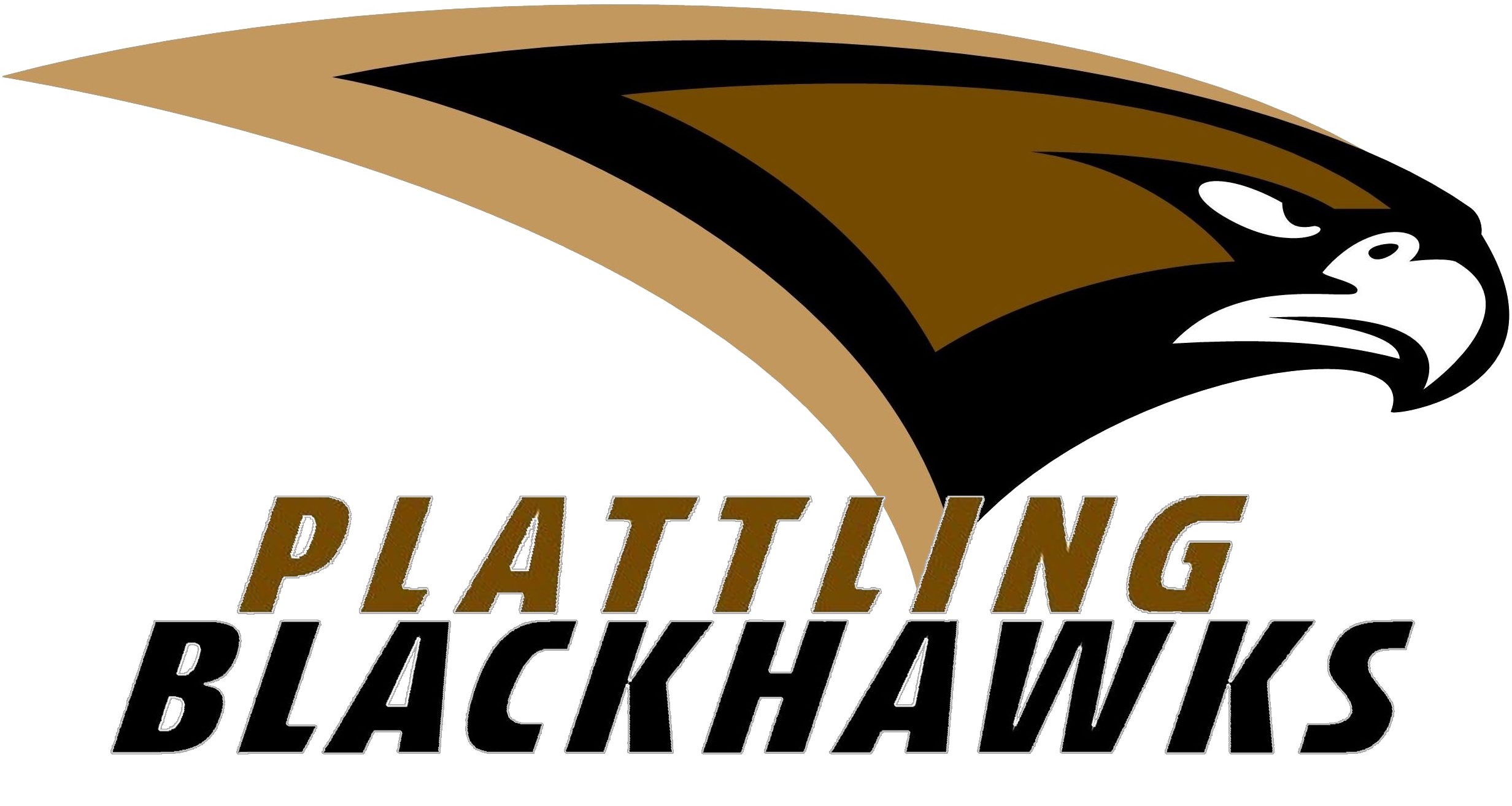 10.07.2020 Schritt Richtung Normalität Plattling Black Hawks